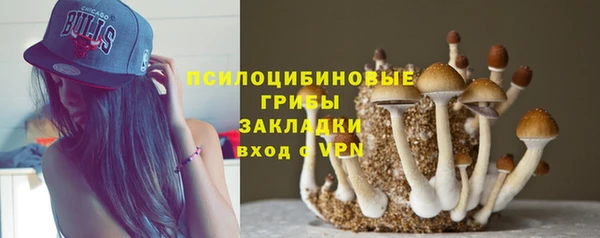 герыч Елабуга