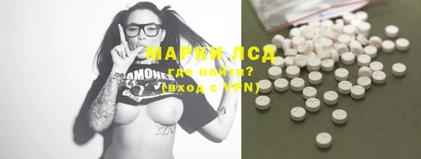 ECSTASY Алзамай