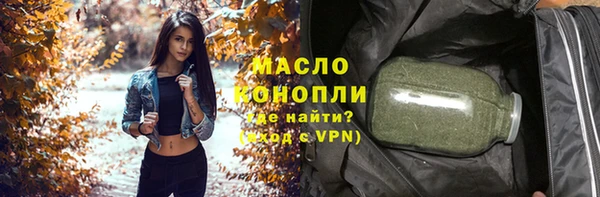 спиды Ельня