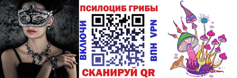 где продают наркотики  Цимлянск  Псилоцибиновые грибы Psilocybe 