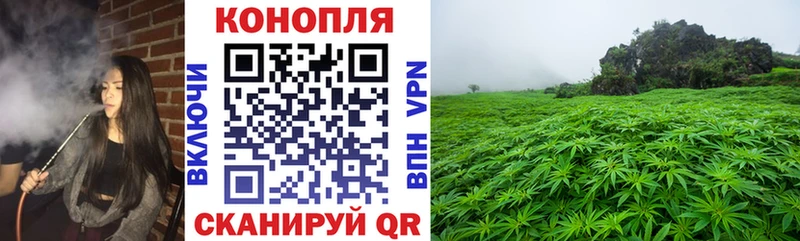 Каннабис семена  Цимлянск 